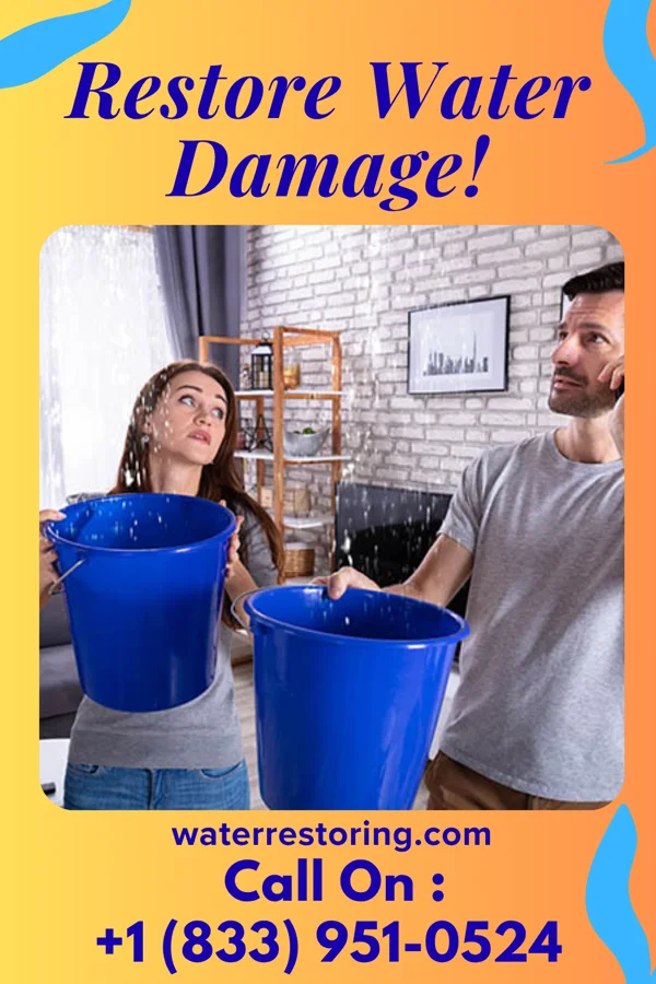 water restoration Apex Water Mitigation Services Cohoes