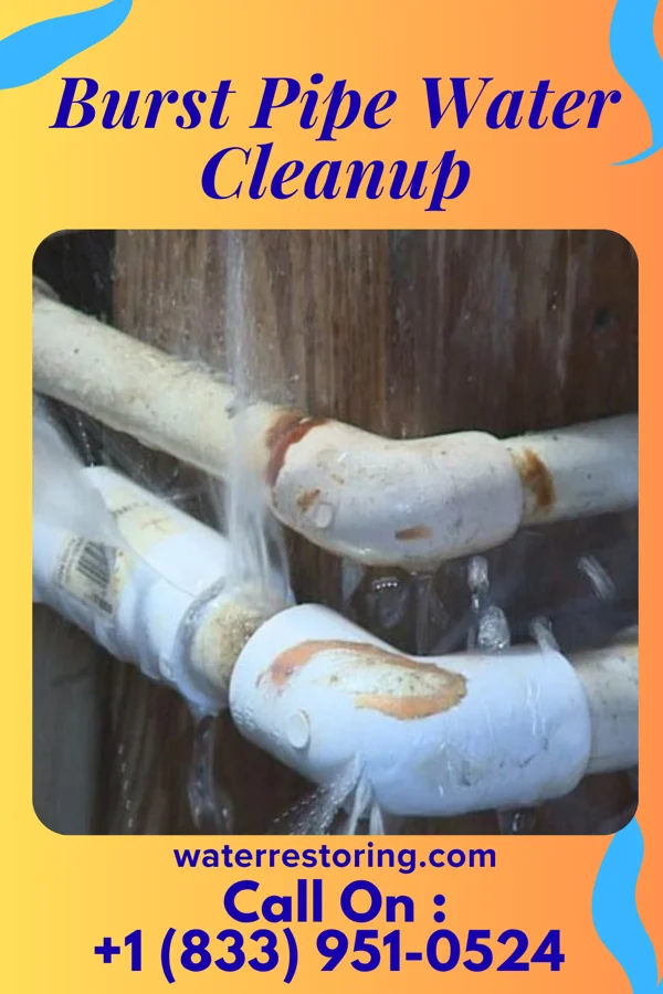 Burst Pipe Water Cleanup in Cohoes, NY