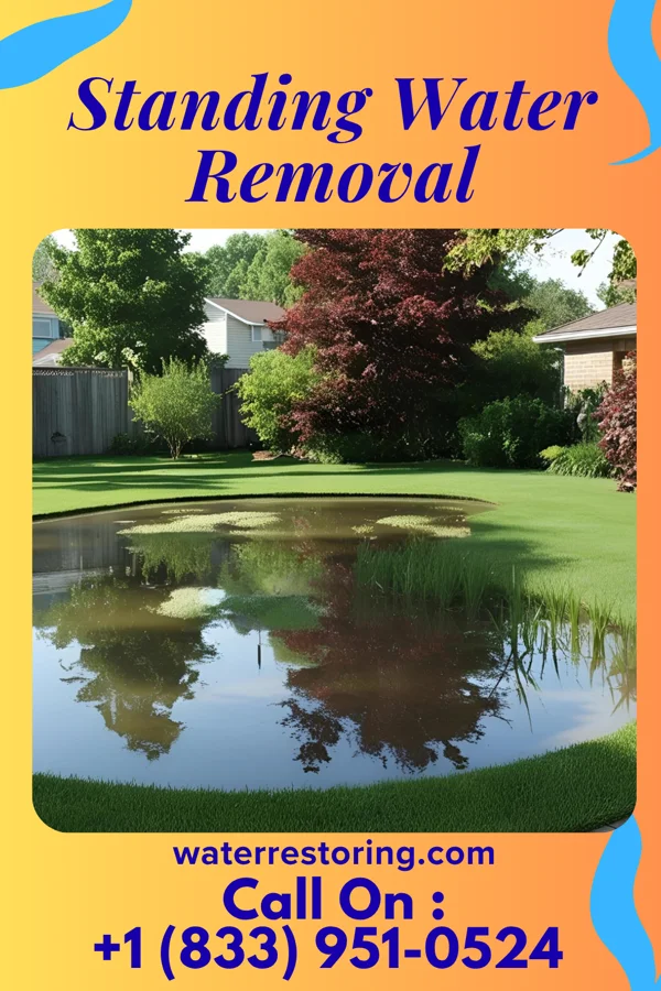 Standing Water Removal in Cohoes, NY